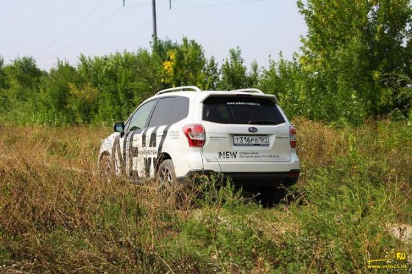 Тест-драйв Subaru Forester: дорога своей тропой